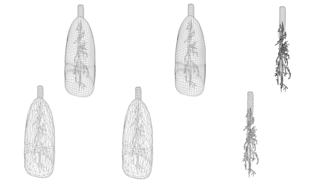 Vector set 3D lungs and bronchus Isolated on white background Element for medical design