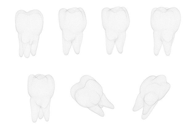 Vector set of 3d teeth for dental medicine isolated on white