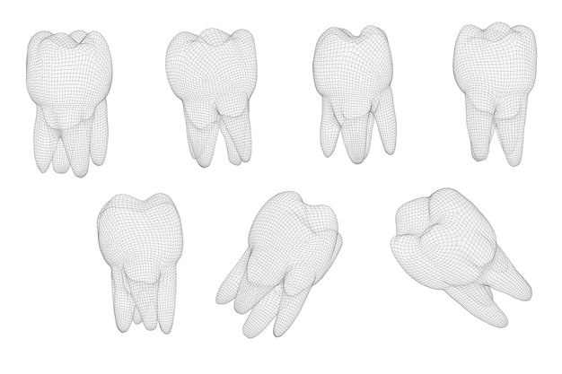 Vector set of 3d teeth for dental medicine isolated on white