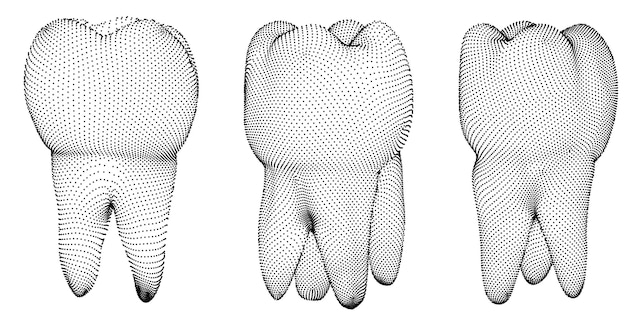 vector set of 3d teeth for dental medicine isolated on white