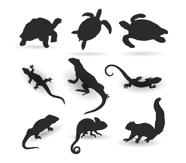 vector set of animal silhouettes, turtles, komodo dragons, lizards, iguanas and squirrels