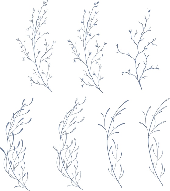 vector set beautiful floral and leaves line art elements botanical set elements hand drawn