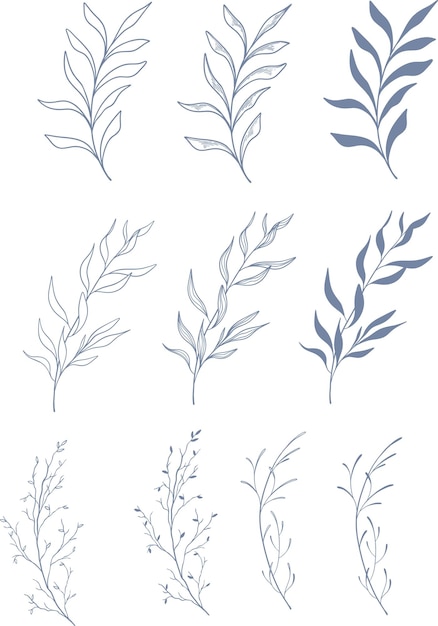 vector set beautiful floral and leaves line art elements botanical set elements hand drawn