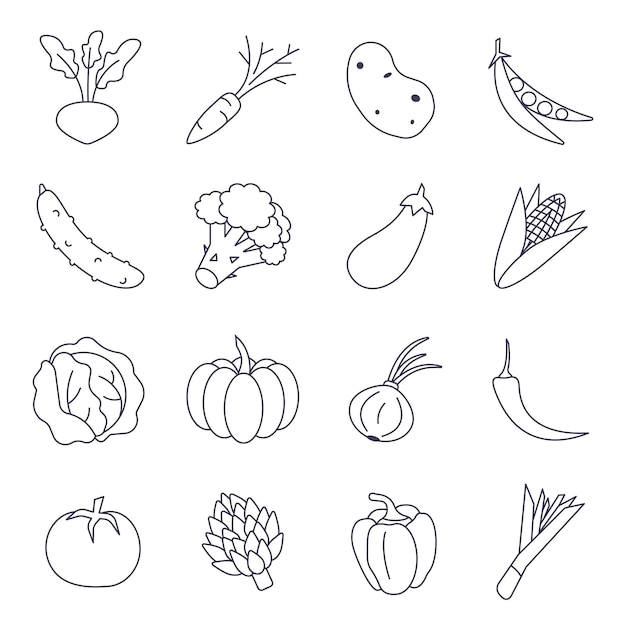 Vector set black and white food icons vegetables, potato, carrot, artichoke, cabbage, pea, and more