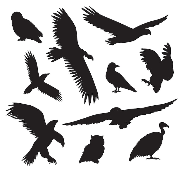 Vector set of black wild predator bird silhouette