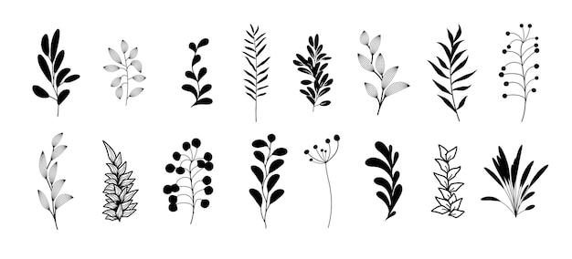 Vector set of bohemian style plants, branches, twigs. Collection of botanical black home wall art decor boho elements isolated on white background. Floral design bundle