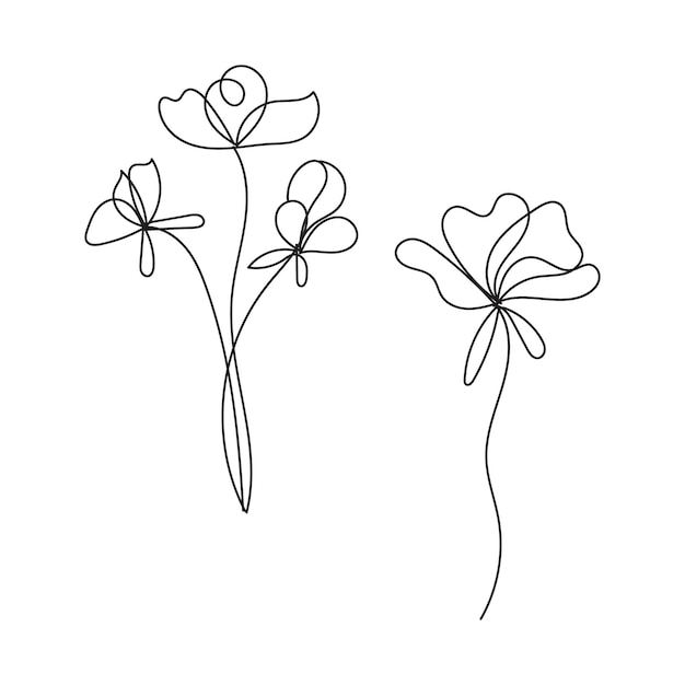 vector set of botanical leaf doodle wildflower line art