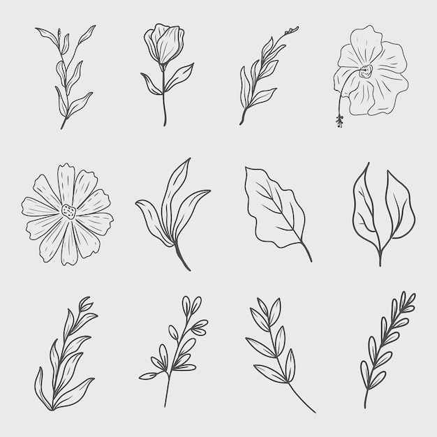 Vector vector set of botanical leaf wildflower line art