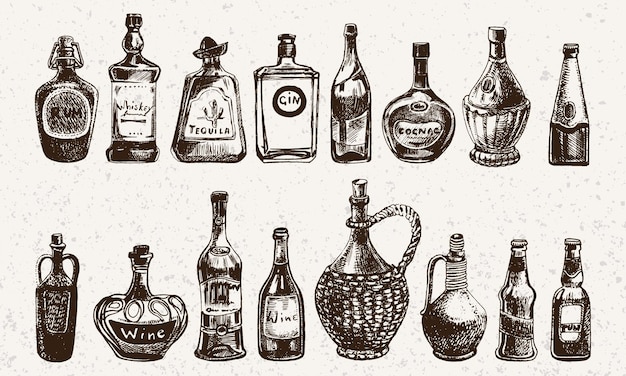 Vector set of bottles of alcohol in ink hand drawn style Isolated on white