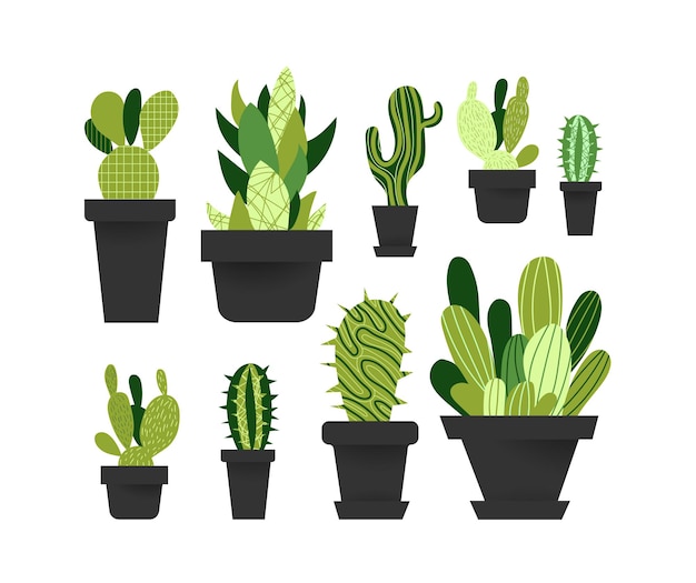 Vector set of cacti in pots Isolated on white backgrond