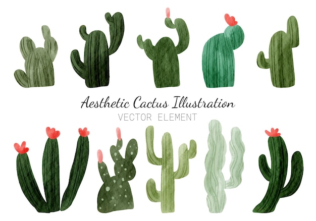 Vector vector set of cactus and pink flower illustration clipart