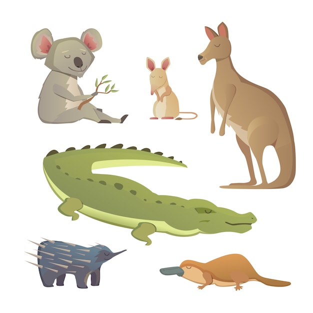 Vector Set Cartoon Animals Isolated. The fauna of Australia illustration.