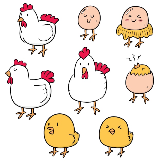 Vector set of chicken and egg