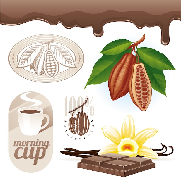 Vector set Cocoa beans and chocolate