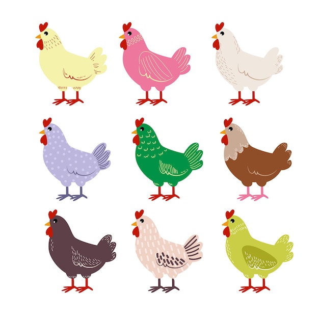 Vector set of colored chickens