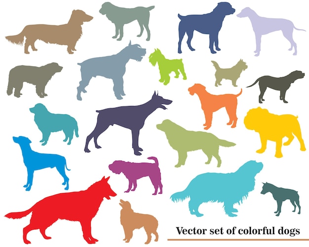 Vector set of colorful dogs silhouettes