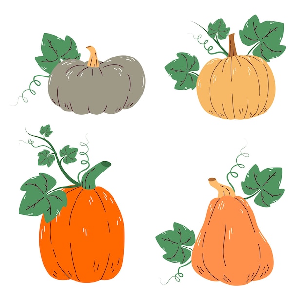 Vector set of colorful pumpkins with leaves isolated on a white background