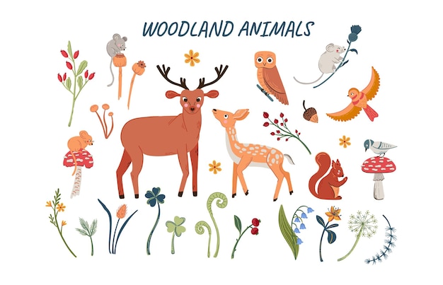 Vector set of cute woodland animals for baby shower and kids design Collection of forest animals