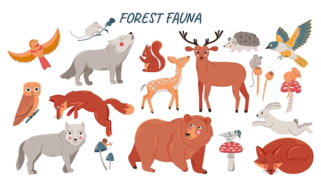 Vector set of cute woodland animals for baby shower and kids design Collection of forest animals