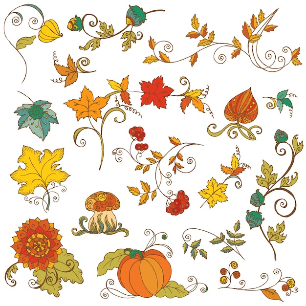 Vector set of decorative Autumn branches, leaves