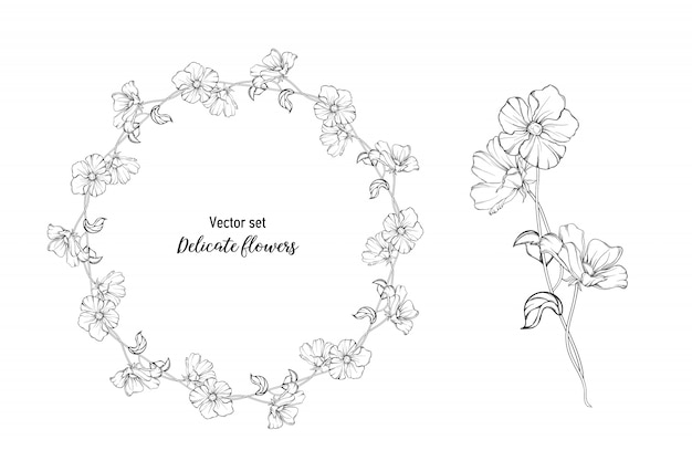 Vector set. Delicate flowers