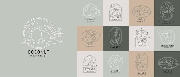 Vector set design templates and emblems healthy and essential cosmetics oils Different natural organic oils Logos in trendy linear style