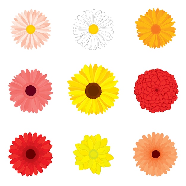 Vector set of detailed realistic various flower buds