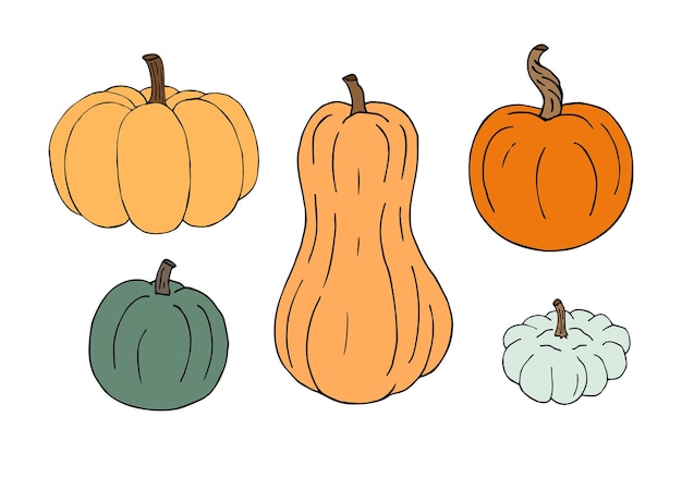 Vector set of different color pumpkin