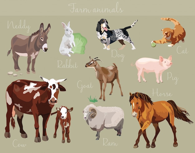 Vector set of different farm animals