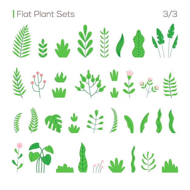 Vector set of different leaves and plants in a flat style