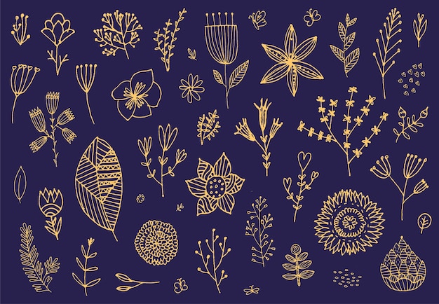 Vector set of doodle hand drawn flowers, florals, leaves. Cute botanical collection