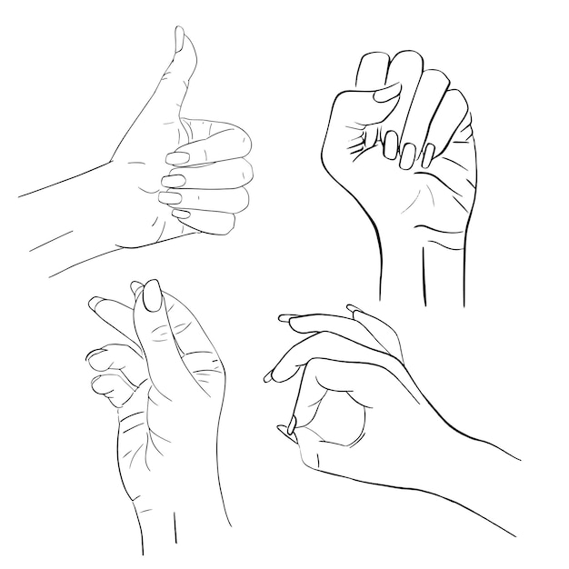 Vector set of female hands and gestures