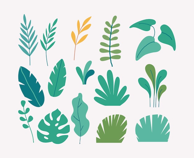 Vector set of flat illustrations of plants trees leaves