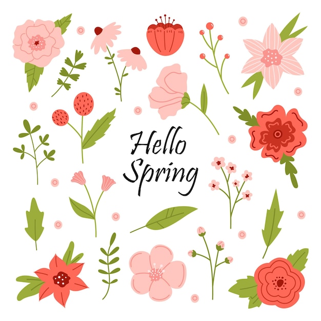 Vector set of flowers and leaves in red pink and green colors Botanical collection with text hello spring Spring floral elements in flat design