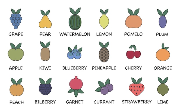 Vector set of fruit line icons Colored icons with a stroke Contains commonly used fruits