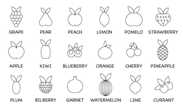 Vector set of fruit line icons Thin line Contains commonly used fruits