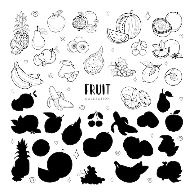 Vector set of fruits black outlines and shadow silhouettes isolated on white background