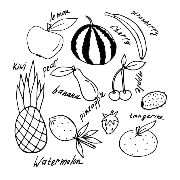 Vector set of fruits in doodle style. Vector illustration