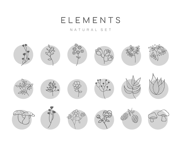 Vector set of hand drawn botanical elements 