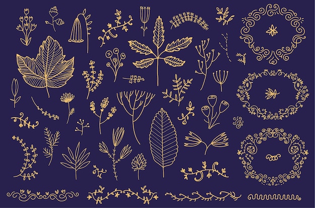 Vector set of hand drawn floral frames, dividers, flowers, leaves. Doodle hand drawn style, decoration design for cards, wedding invitations, etc.