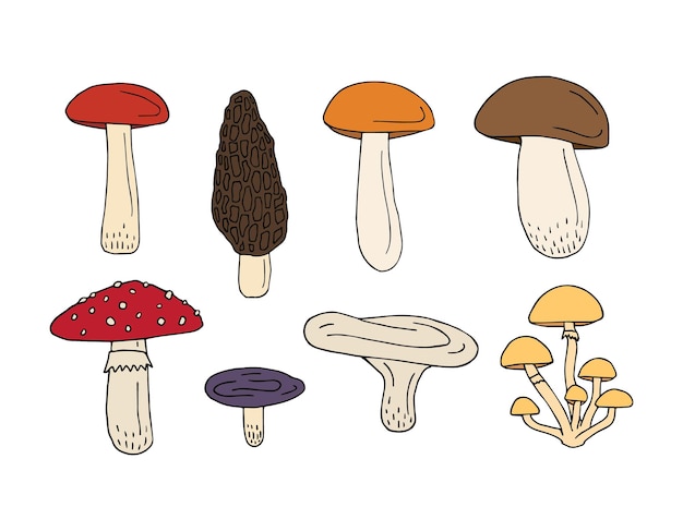 Vector set of hand drawn mushroom