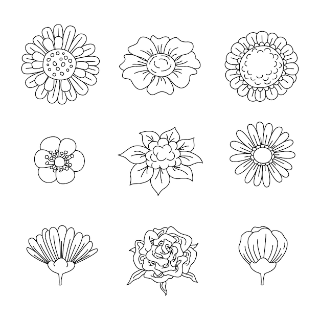 Vector set of handdrawing flower