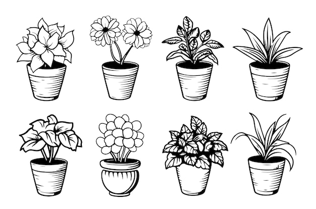 Vector vector set of house plants and flowers in pots outline drawings on a white background