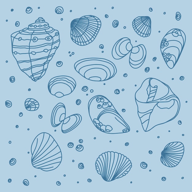 Vector set of illustrations various shells on blue background The concept of summer time