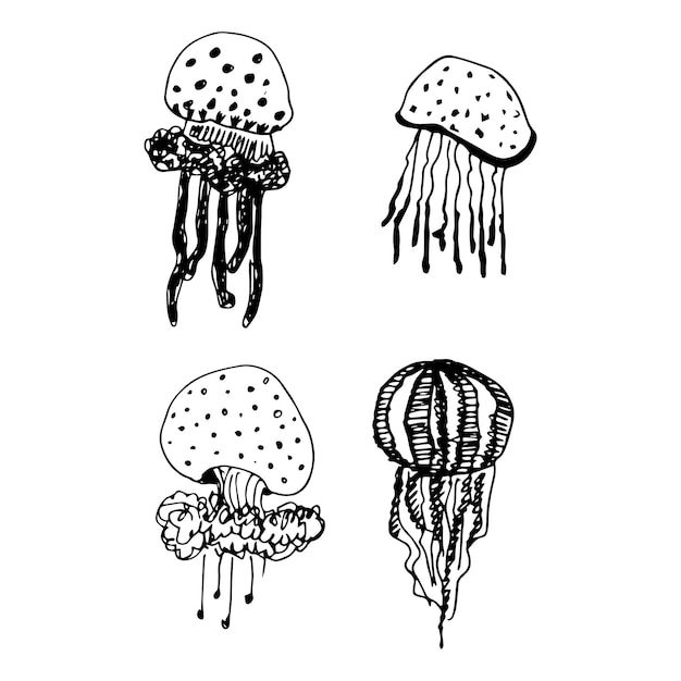 Vector set of inhabitants of the seabed