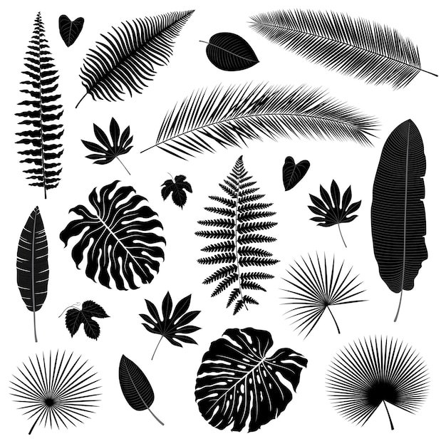 Vector set of isolated tropical leaves silhouettes in black color