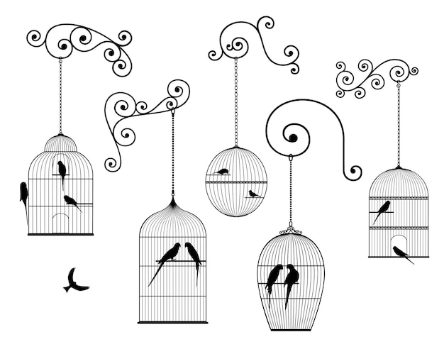 Vector set of outline, antique, hanging bird cages and domestic birds in black color