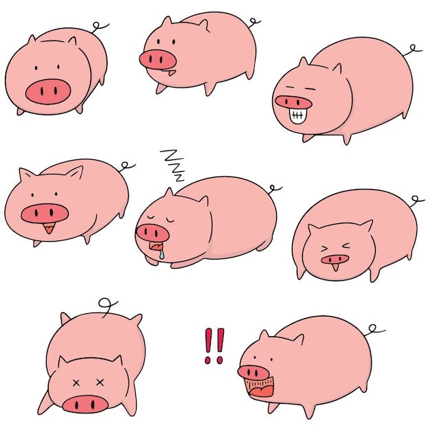 vector set of pig