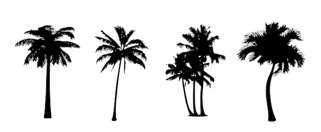 Vector set of plant tree silhouette coconut tree