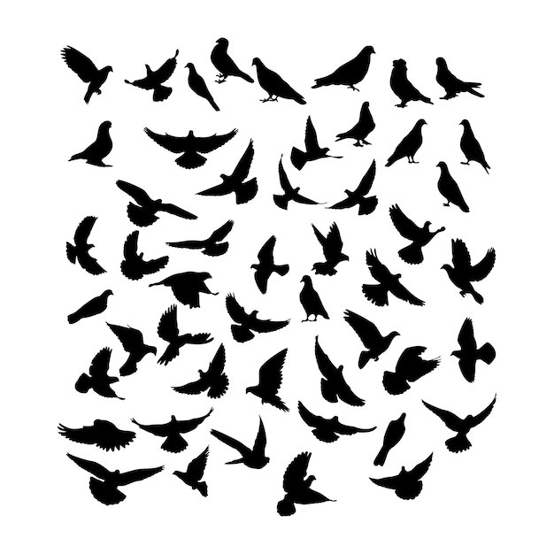 vector set of silhouette birds, pigeons, fly